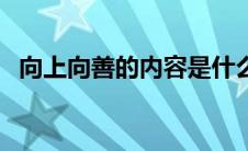 向上向善的内容是什么（向上向善的理解）