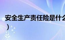 安全生产责任险是什么险（安全责任险是什么）