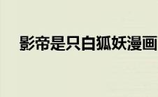 影帝是只白狐妖漫画（影帝是只白狐妖）