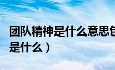 团队精神是什么意思包括哪些内容（团队精神是什么）