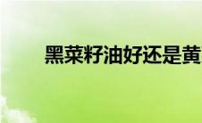 黑菜籽油好还是黄菜籽油好（黑菜）