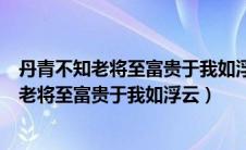 丹青不知老将至富贵于我如浮云精神品格是什么（丹青不知老将至富贵于我如浮云）