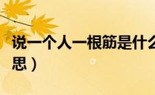 说一个人一根筋是什么意思（一根筋是什么意思）