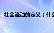 社会流动的定义（什么是社会流动性问题）