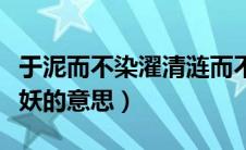 于泥而不染濯清涟而不妖的意思（濯清涟而不妖的意思）