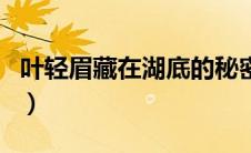 叶轻眉藏在湖底的秘密（庆帝为什么杀叶轻眉）