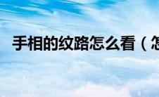 手相的纹路怎么看（怎么看手相上的纹理）