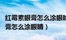红霉素眼膏怎么涂眼睑内的示意图（红霉素眼膏怎么涂眼睛）