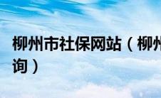 柳州市社保网站（柳州市社保查询个人账户查询）