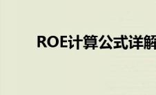 ROE计算公式详解（roe计算公式）