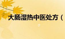 大肠湿热中医处方（大肠湿热中药处方）