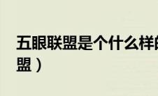 五眼联盟是个什么样的存在?（什么是五眼联盟）
