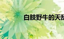 白肢野牛的天敌（白肢野牛）