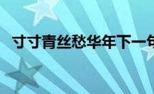 寸寸青丝愁华年下一句（寸寸青丝愁华年）