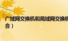 广域网交换机和局域网交换机区别（广域网交换机的使用场合）