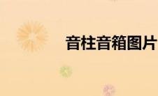 音柱音箱图片（音柱音箱）