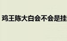 鸡王陈大白会不会是挂（鸡王陈大白直播间）