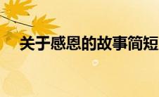 关于感恩的故事简短（关于感恩的故事）