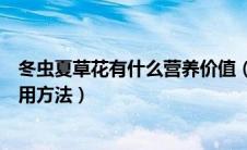 冬虫夏草花有什么营养价值（冬虫夏草花的功效与作用及食用方法）
