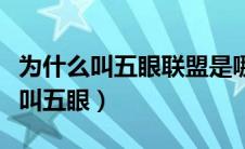 为什么叫五眼联盟是哪五国（五眼联盟为什么叫五眼）