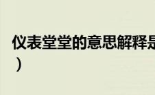 仪表堂堂的意思解释是什么（仪表堂堂的意思）
