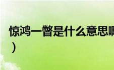 惊鸿一瞥是什么意思啊（惊鸿一瞥是什么意思）