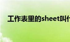 工作表里的sheet叫什么（sheet怎么读）