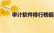 审计软件排行榜前十名（审计软件）