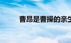 曹昂是曹操的亲生儿子吗（曹昂）