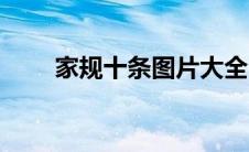家规十条图片大全（网红十条家规）