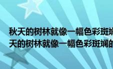 秋天的树林就像一幅色彩斑斓的图画写一篇作文300字（秋天的树林就像一幅色彩斑斓的图画怎么写到300个字作文）