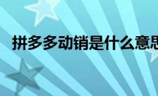 拼多多动销是什么意思（动销是什么意思）