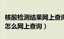 核酸检测结果网上查询二维码（核酸检测结果怎么网上查询）