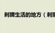 刺猬生活的地方（刺猬的生活习性有哪些）