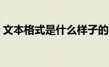 文本格式是什么样子的（文本格式是指什么）