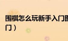 围棋怎么玩新手入门图解（围棋怎么玩新手入门）