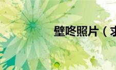 壁咚照片（求壁咚图片）