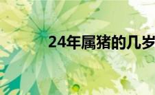 24年属猪的几岁（属猪的几岁）