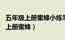 五年级上册蜜蜂小练笔200字（小练笔五年级上册蜜蜂）