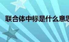 联合体中标是什么意思（中标是什么意思）
