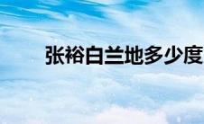 张裕白兰地多少度（白兰地多少度）