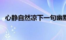 心静自然凉下一句幽默回复（心静自然凉）