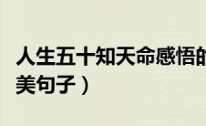 人生五十知天命感悟的七字诗（知天命之年唯美句子）