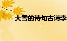 大雪的诗句古诗李白（大雪的诗句）