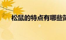松鼠的特点有哪些简单（松鼠的特点）