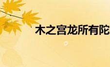 木之宫龙所有陀螺（木之宫龙）