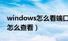 windows怎么看端口号被占用（电脑端口号怎么查看）