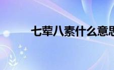 七荤八素什么意思呢（七荤八素）