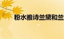 粉水雅诗兰黛和兰蔻哪个好（粉水）