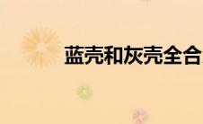 蓝壳和灰壳全合成区别（蓝壳）